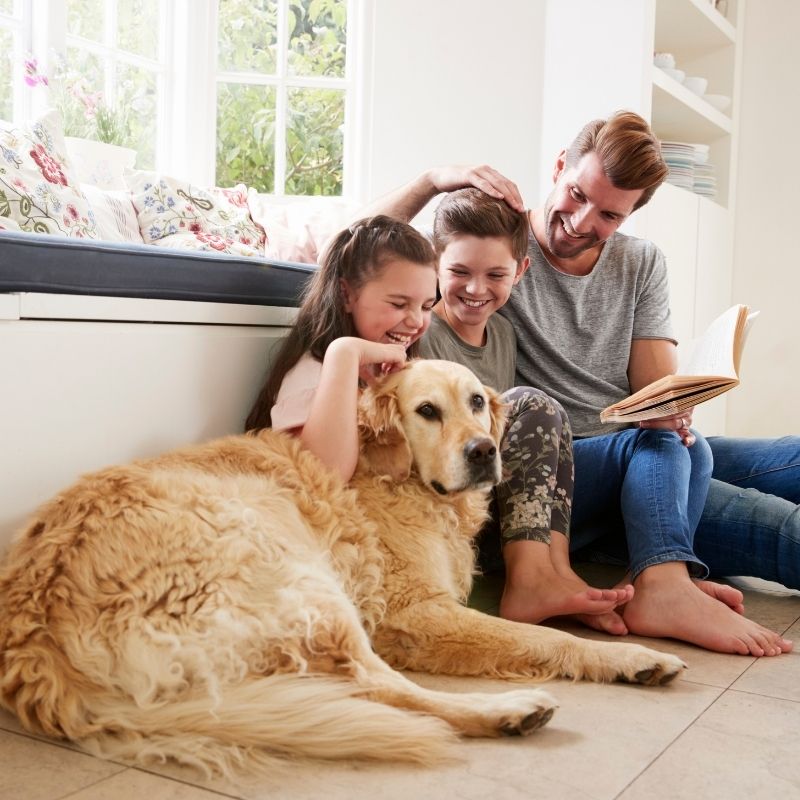 La-massima-tranquillita-per-la-tua-famiglia Mura sicure e ferie serene: proteggere la casa dagli imprevisti